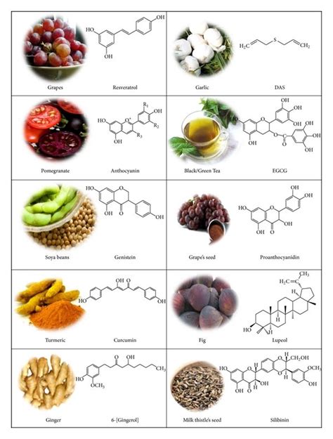 phytochemicals and their major source associated with chemoprevention download scientific