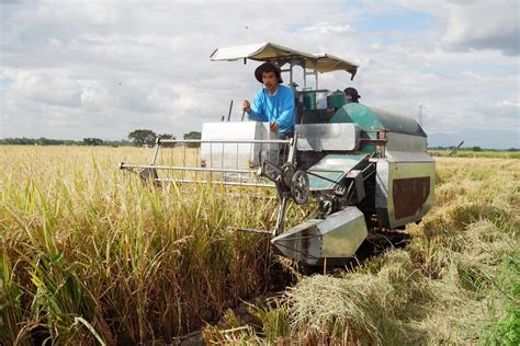 Rice Combined Harvester Dost Technology Transfer