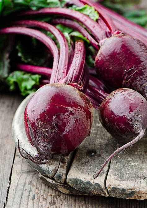 Rote beete — rote rübe rote rübe = rote bete systematik ordnung: Rote Bete - Powergemüse für's Immunsystem