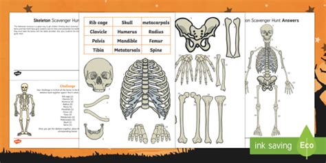 The others include body temperature. Bone Anatomy Crossword - joshuapeacock