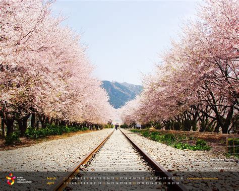 Wallpaper Cute Korean Cute Korean Backgrounds ·① Wallpapertag Find