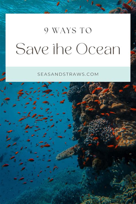 9 Ways You Can Save The Ocean