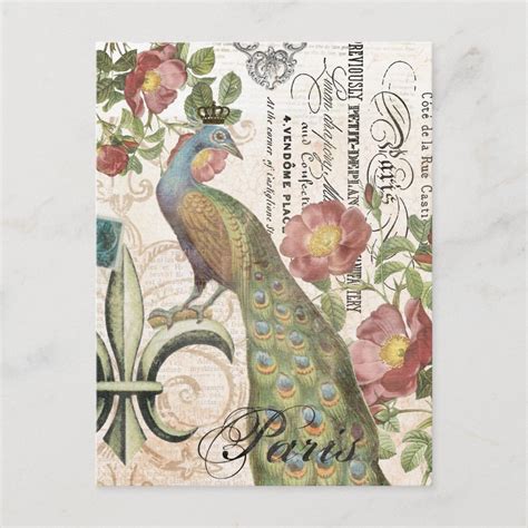 Vintage Peacock Postcard Zazzle