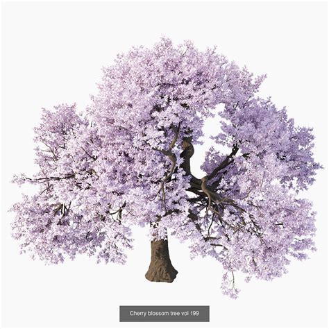 Collection Of Trees 3d Model Vol 9 Cgtrader