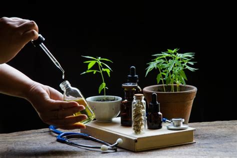 Creating Delicious Tasting Cannabis Products New Food Magazine
