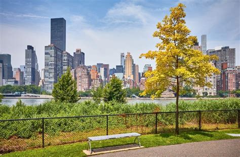 7 Best Skyline Views In New York City For Free Mint Notion