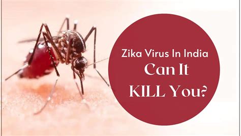 Zika Virus In India 4 Unusual And Rare Conditions The Virus Infection