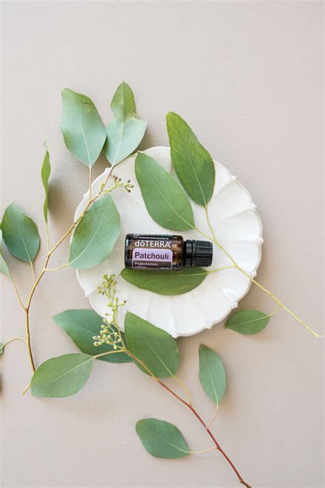 Patchouli Oil Uses And Benefits Doterra Essential Oils