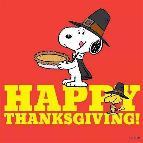 Snoopy and Woodstock | Thanksgiving snoopy, Happy thanksgiving images