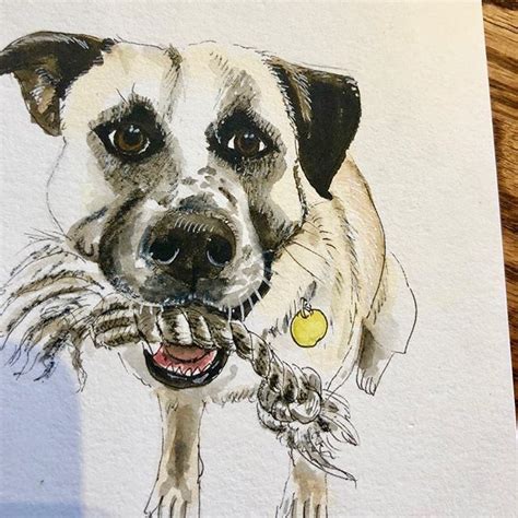 A Doggo Portrait Sketch Workoftheday The First Reaction I Got From