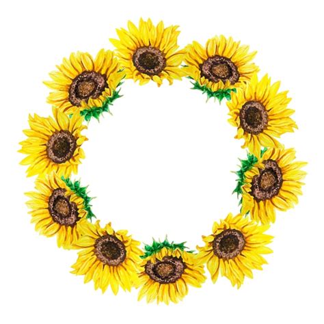 Premium Vector Watercolor Illustration Of Sunflowers Wreath