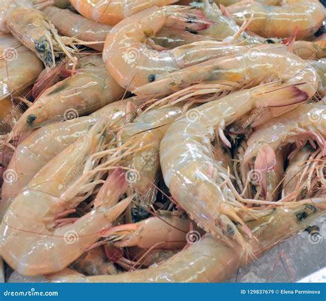 Fresh Big Shrimp At The Fish Market Macro Stock Image Image Of Fish