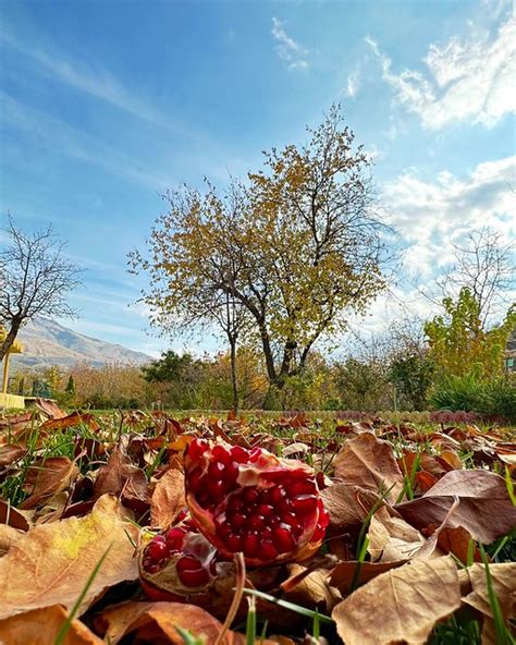 Kurdistan Magnificent Nature 💞 A Photo On Flickriver