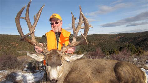 Best Mule Deer Hunting In Colorado