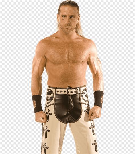 Wwe 13 Shawn Michaels Attire