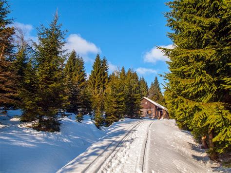 Small Wooden Cottage In The Middle Of Winter Forest Stock Photo Image