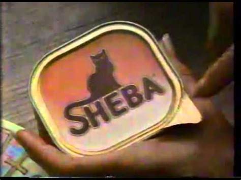 The commercial zooms into the gaze of the cat. Commercial Sheba Cat Food - YouTube