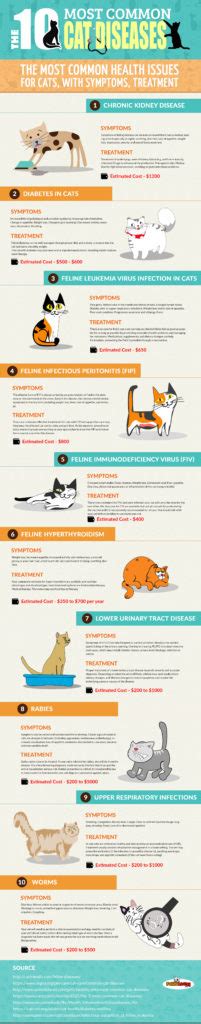 10 Common Diseases In Cats Michigan Animal Adoption Network