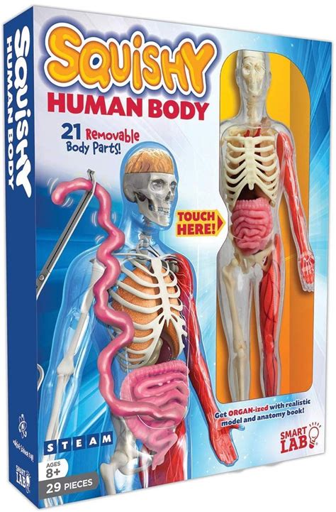 4 links pointing to getbodysmart.com were found. Squishy Human Body Anatomy Kit | A Mighty Girl