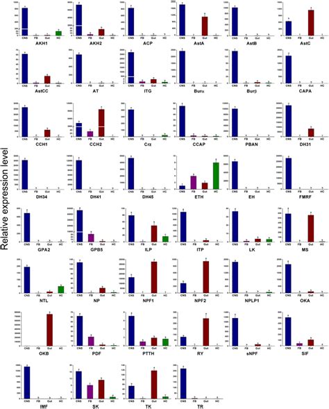 Qrt Pcr Results Showing The Relative Expression Levels Of The