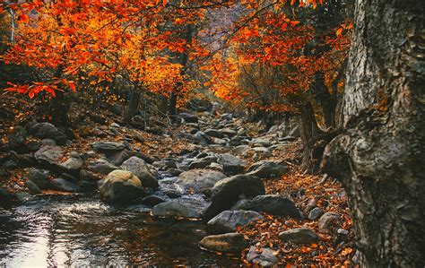 Free Images Landscape Tree Water Nature Forest Rock Creek