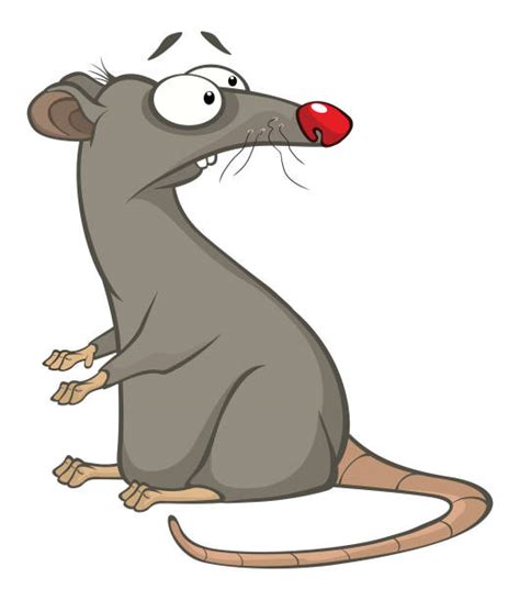 Rats Cartoon Illustrations Royalty Free Vector Graphics And Clip Art