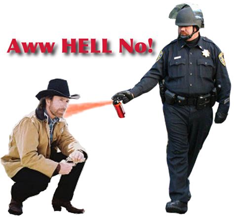 Image 204868 Casually Pepper Spray Everything Cop Know Your Meme