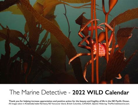 The Marine Detective Presents Wild Calendar The Scuba News