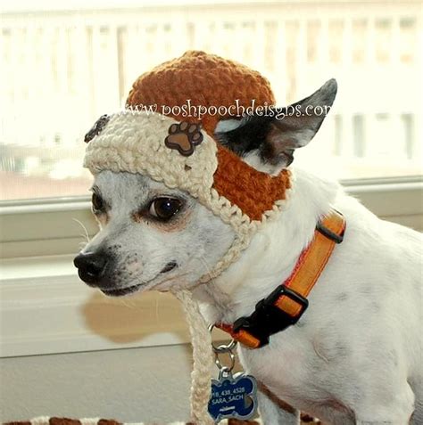 Dogs Who Are Not Amused With Their New Hats