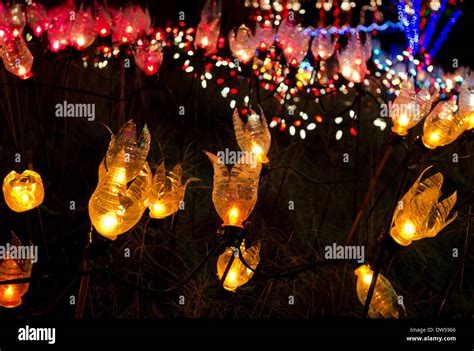 Flower Christmas Lights Hi Res Stock Photography And Images Alamy