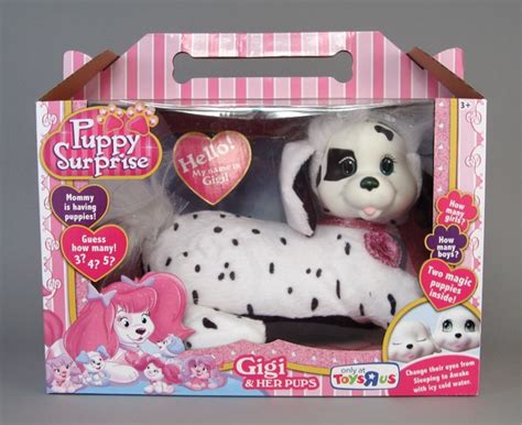 Check spelling or type a new query. Puppy Surprise Problems | The Toy Box Philosopher
