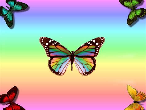 Wnp Wallpapers And Pictures Rainbow Wallpapers Beautiful Butterfly