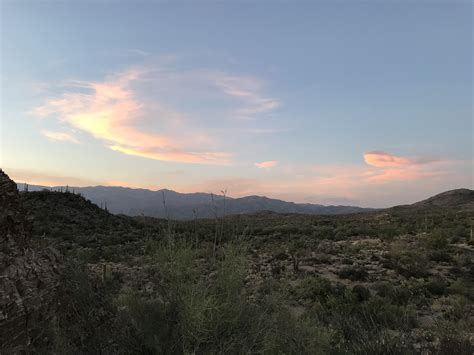 Sunset In East Saguaro National Park In Tucson Explore America