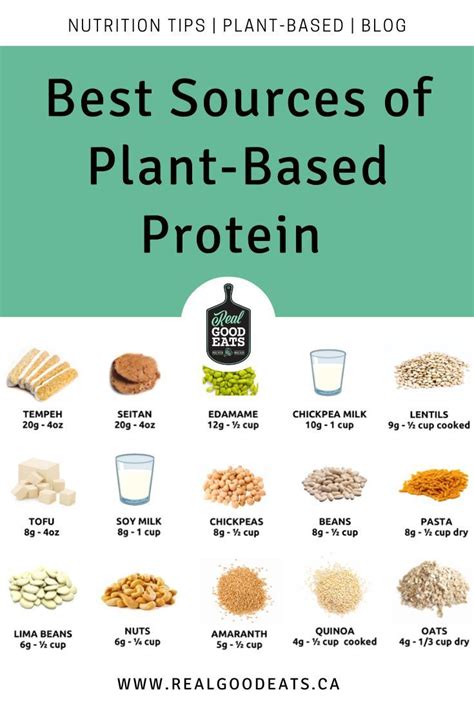 Best Sources Of Plant Based Protein Plant Based Protein Plant