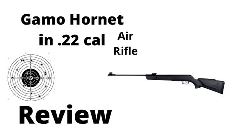 Gamo Hornet Review The Official Team Ferret Youtube