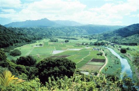 Plantation On Kauai Photo Pictures And Images On