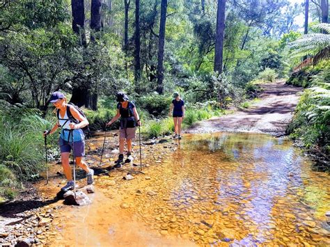 Six Foot Track Walk Nsw Holidays And Accommodation Things To Do