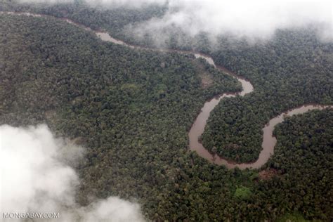 Aerial View Of A Rainforest River In Colombias Choco Colombia3957