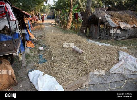 Bengali Village Baidyapur India Stock Photo Alamy
