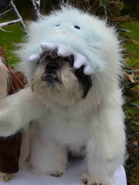 Abominable Snowman Looks Like Bumble Christmas Dog Costume For