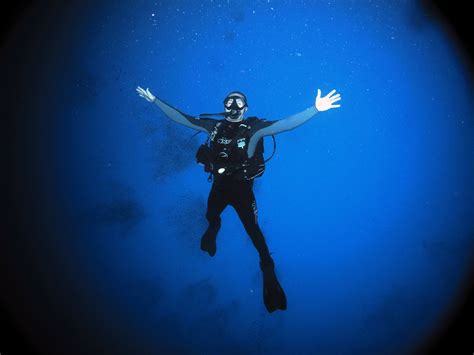 Free Download Scuba Diving Diver Ocean Sea Underwater Wallpaper