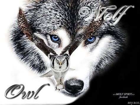 The Wolf And Owl Auroraborealice Wolf Spirit