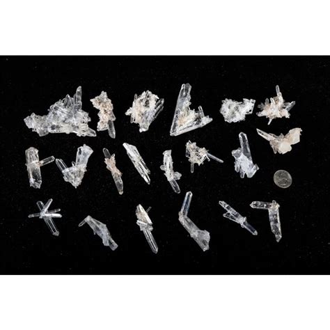 Quartz Crystals Medium 20 149304