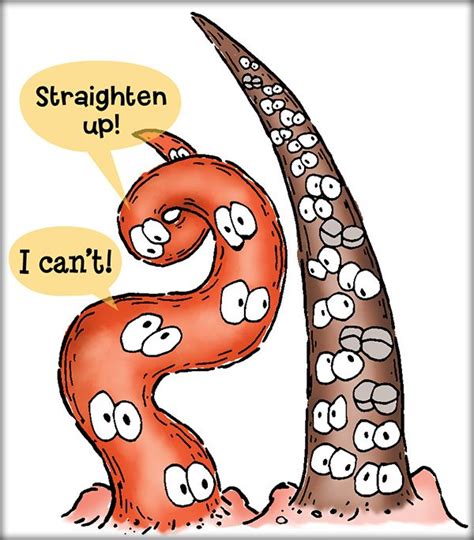 17 Best images about STEM: Genetics & Heredity on ...