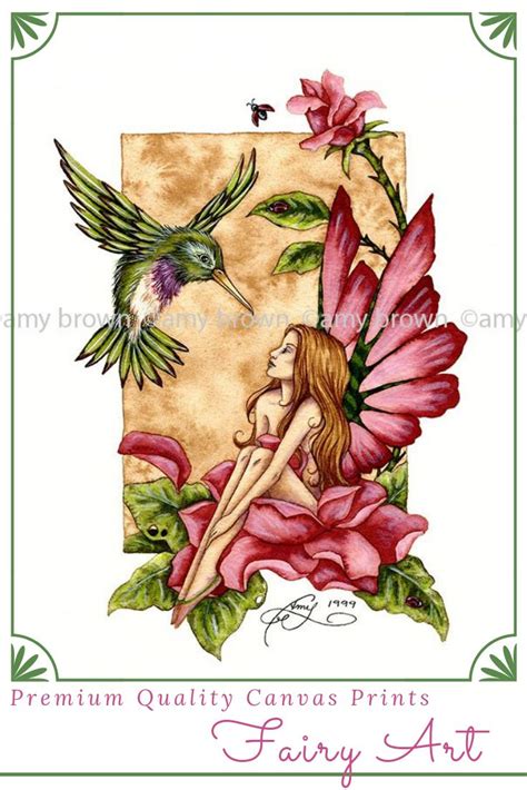 Hummingbird Dream Fairy By Amy Brown Toucanvas Amy Brown Art Amy