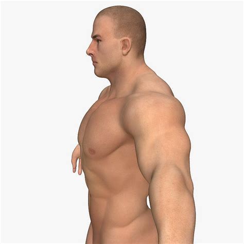 Realistic Muscular Man 3d Model In Man 3dexport