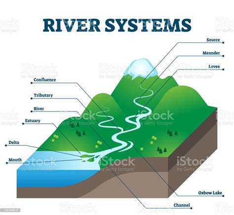 River Systems And Drainage Basin Educational Structure Vector