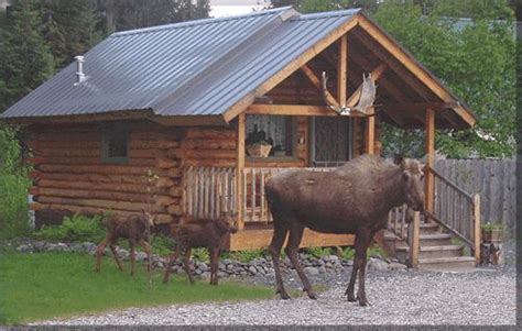 We did not find results for: 17+ best images about Alaska Log Cabins on Pinterest | Log ...