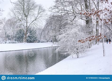 Beautiful Winter Landscape On The Lake With Snow Covered