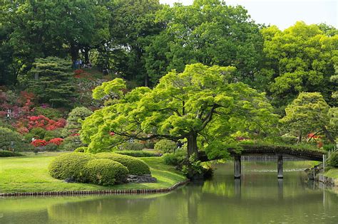 1920x1080px Free Download Hd Wallpaper Body Of Water Trees Japan